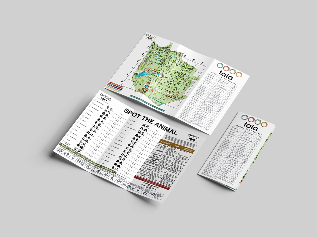 DL_Trifold_DL_Flyer_Mockup_388